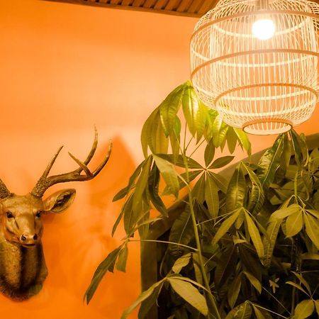 Steed Hotel Νταλάτ Εξωτερικό φωτογραφία