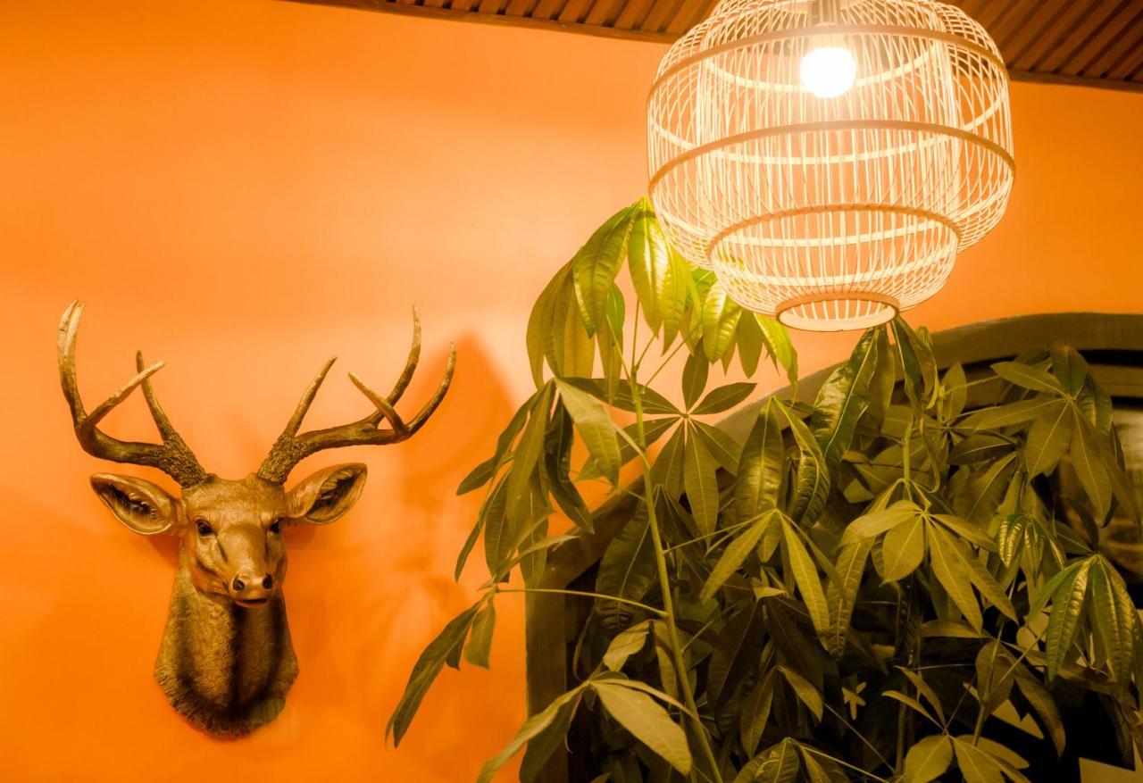 Steed Hotel Νταλάτ Εξωτερικό φωτογραφία
